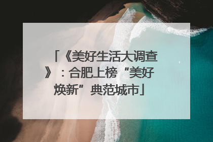 《美好生活大调查》：合肥上榜“美好焕新”典范城市
