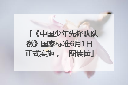《中国少年先锋队队徽》国家标准6月1日正式实施，一图读懂