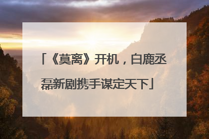 《莫离》开机，白鹿丞磊新剧携手谋定天下