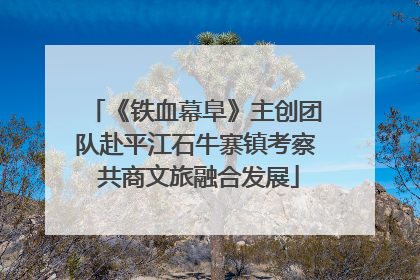 《铁血幕阜》主创团队赴平江石牛寨镇考察 共商文旅融合发展
