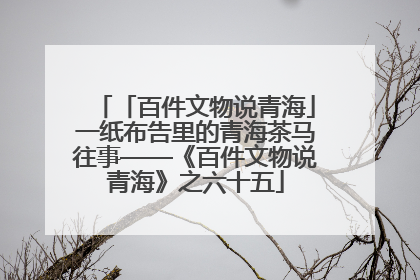 「百件文物说青海」一纸布告里的青海茶马往事——《百件文物说青海》之六十五