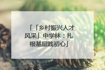 「乡村振兴人才风采」申学林：扎根基层践初心