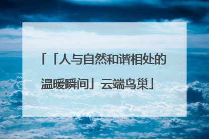 「人与自然和谐相处的温暖瞬间」云端鸟巢