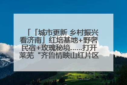 「城市更新 乡村振兴看济南」红培基地+野奢民宿+玫瑰秘境……打开莱芜“齐鲁情映山红片区”的破圈秘籍