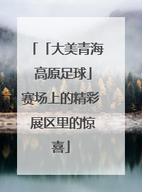 「大美青海 高原足球」赛场上的精彩 展区里的惊喜