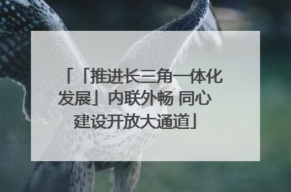 「推进长三角一体化发展」内联外畅 同心建设开放大通道