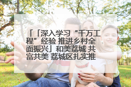 「深入学习“千万工程”经验 推进乡村全面振兴」和美荔城 共富共美 荔城区扎实推进乡村振兴工作