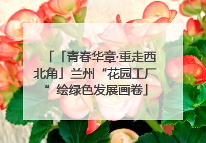 「青春华章·重走西北角」兰州“花园工厂”绘绿色发展画卷