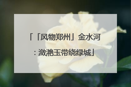 「风物郑州」金水河：潋滟玉带绕绿城