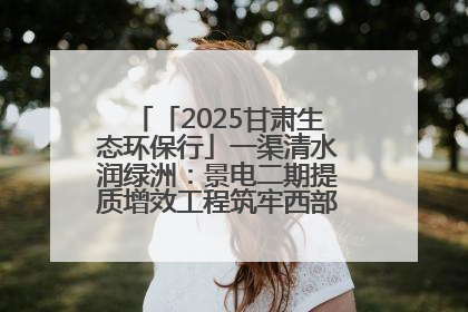 「2025甘肃生态环保行」一渠清水润绿洲：景电二期提质增效工程筑牢西部生态安全屏障