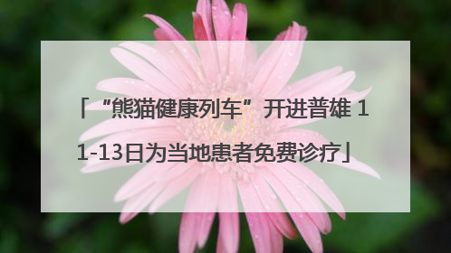 “熊猫健康列车”开进普雄 11-13日为当地患者免费诊疗