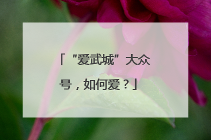 “爱武城”大众号，如何爱？