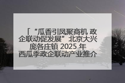 “瓜香引凤聚商机 政企联动促发展”北京大兴庞各庄镇 2025 年西瓜季政企联动产业推介活动圆满举行