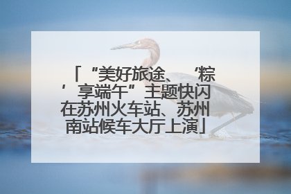 “美好旅途、‘粽’享端午”主题快闪在苏州火车站、苏州南站候车大厅上演