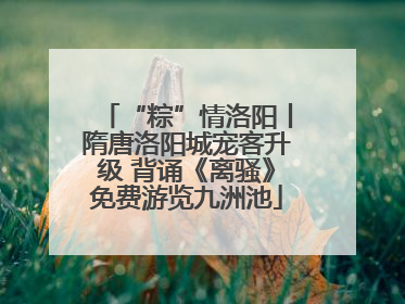 “粽”情洛阳丨隋唐洛阳城宠客升级 背诵《离骚》免费游览九洲池