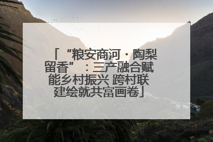 “粮安商河・陶梨留香”：三产融合赋能乡村振兴 跨村联建绘就共富画卷