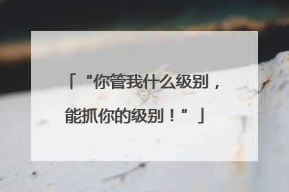 “你管我什么级别，能抓你的级别！”