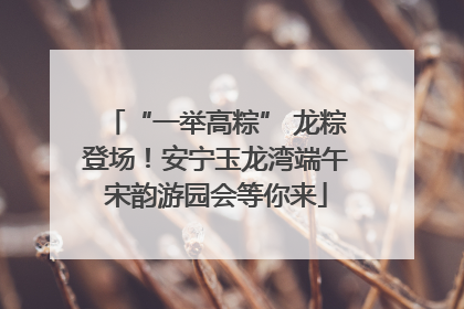“一举高粽” 龙粽登场！安宁玉龙湾端午宋韵游园会等你来