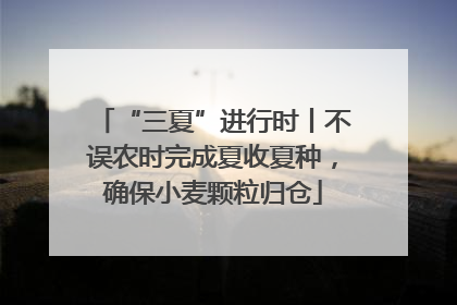 “三夏”进行时丨不误农时完成夏收夏种，确保小麦颗粒归仓