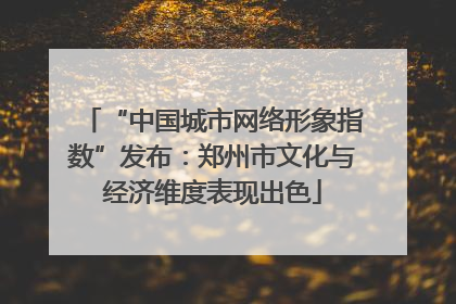 “中国城市网络形象指数”发布：郑州市文化与经济维度表现出色
