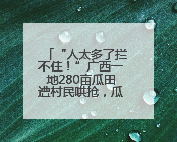 “人太多了拦不住！”广西一地280亩瓜田遭村民哄抢，瓜农哭诉