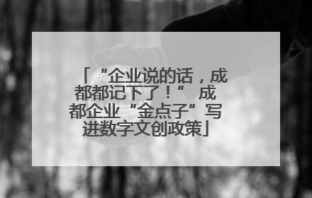 “企业说的话，成都都记下了！” 成都企业“金点子”写进数字文创政策
