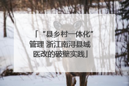 “县乡村一体化”管理 浙江南浔县域医改的破壁实践