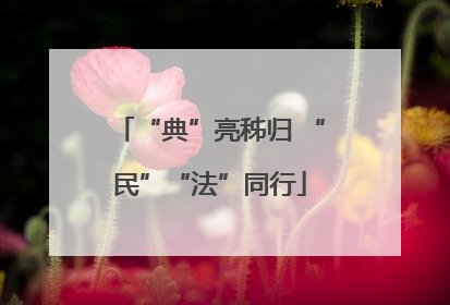 “典”亮秭归 “民”“法”同行