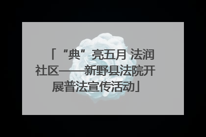 “典”亮五月 法润社区——新野县法院开展普法宣传活动