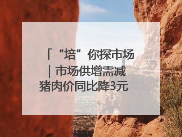 “培”你探市场｜市场供增需减 猪肉价同比降3元 未来40天便宜猪肉敞开吃