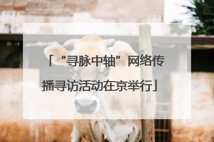 “寻脉中轴”网络传播寻访活动在京举行