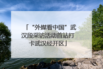 “外媒看中国”武汉段采访活动首站打卡武汉经开区