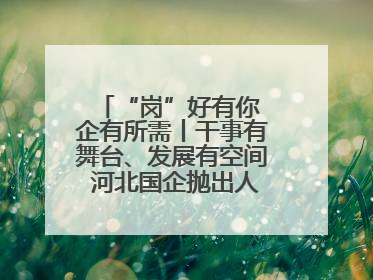 “岗”好有你 企有所需丨干事有舞台、发展有空间 河北国企抛出人才“橄榄枝”