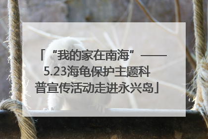 “我的家在南海”——5.23海龟保护主题科普宣传活动走进永兴岛