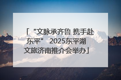 “文脉承齐鲁 携手赴东平” 2025东平湖文旅济南推介会举办
