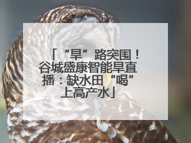 “旱”路突围！谷城盛康智能旱直播：缺水田“喝”上高产水