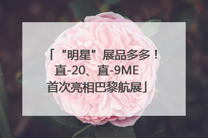“明星”展品多多！直-20、直-9ME首次亮相巴黎航展