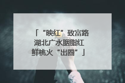 “映红”致富路 湖北广水胭脂红鲜桃火“出圈”