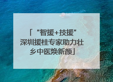 “智援+技援” 深圳援桂专家助力壮乡中医焕新颜