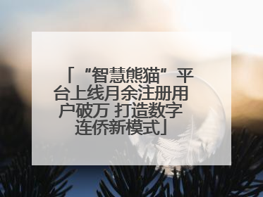 “智慧熊猫”平台上线月余注册用户破万 打造数字连侨新模式