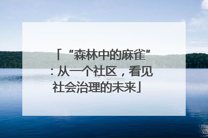 “森林中的麻雀”：从一个社区，看见社会治理的未来