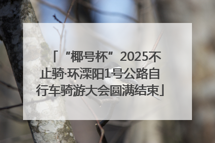 “椰号杯”2025不止骑·环溧阳1号公路自行车骑游大会圆满结束