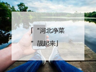 “河北净菜”靓起来