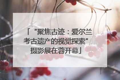 “聚焦古迹：爱尔兰考古遗产的视觉探索”摄影展在蓉开幕