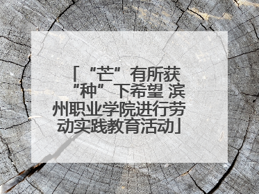“芒”有所获 “种”下希望 滨州职业学院进行劳动实践教育活动