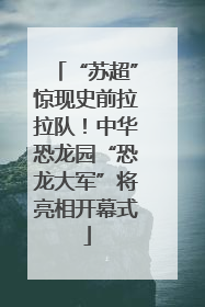 “苏超”惊现史前拉拉队！中华恐龙园“恐龙大军”将亮相开幕式