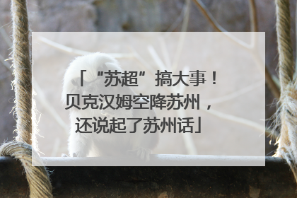 “苏超”搞大事！贝克汉姆空降苏州，还说起了苏州话