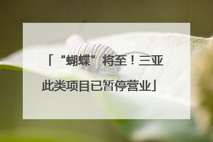 “蝴蝶”将至！三亚此类项目已暂停营业
