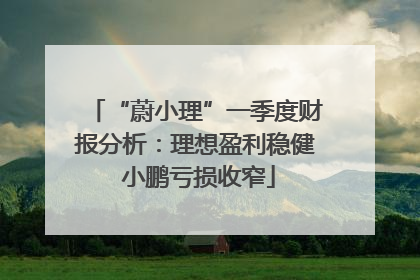 “蔚小理”一季度财报分析：理想盈利稳健 小鹏亏损收窄