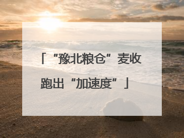 “豫北粮仓”麦收跑出“加速度”